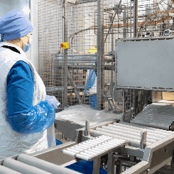 Food Processing
